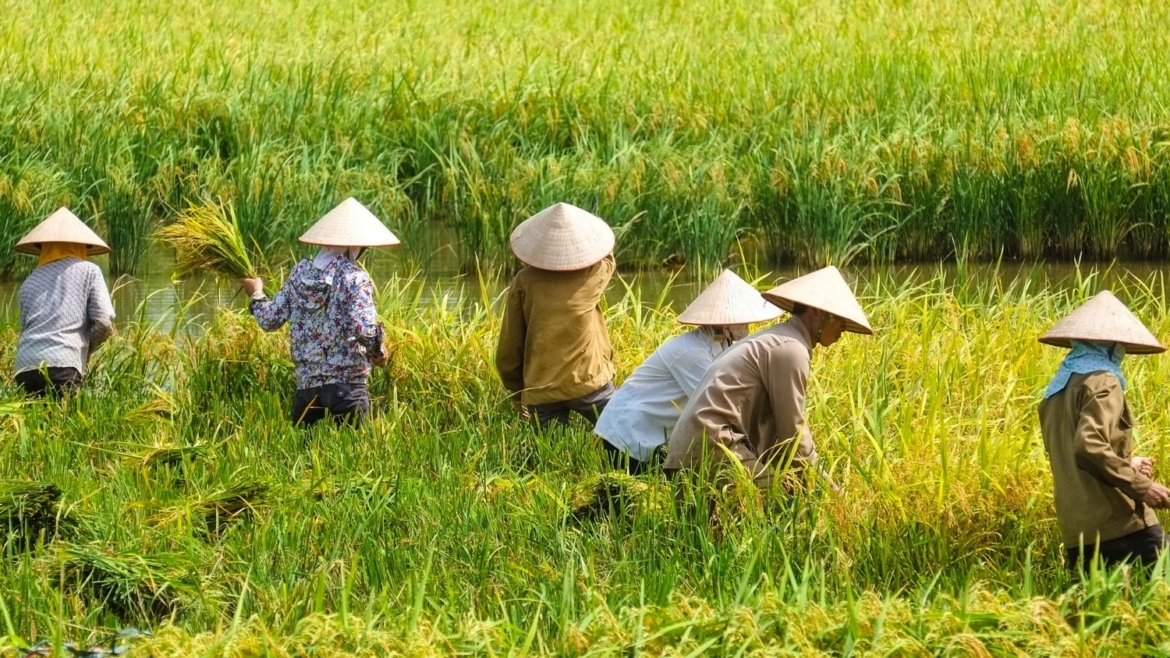 Five million farmers