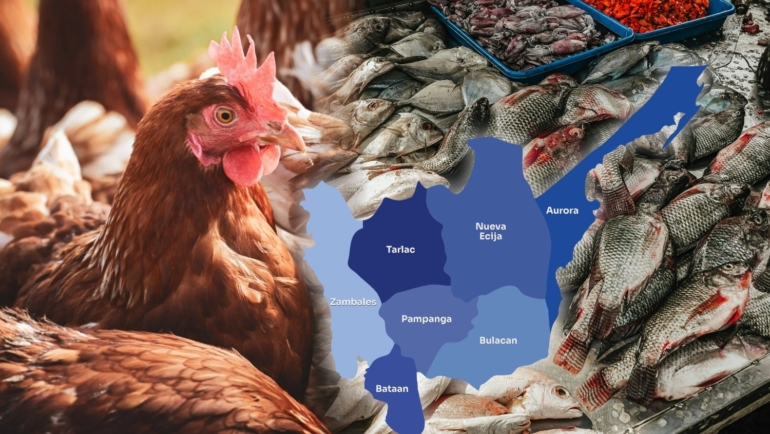 Central-Luzon-remained-the-country’s-top-agriculture-hub-in-2025