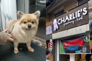 Charlie’s-Pet-Grooming,-Supplies-&-Hotel