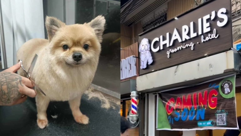 Charlie’s-Pet-Grooming,-Supplies-&-Hotel