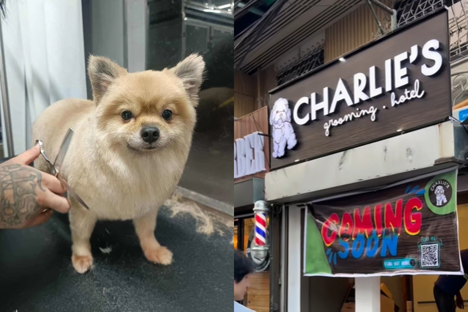 Charlie’s-Pet-Grooming,-Supplies-&-Hotel