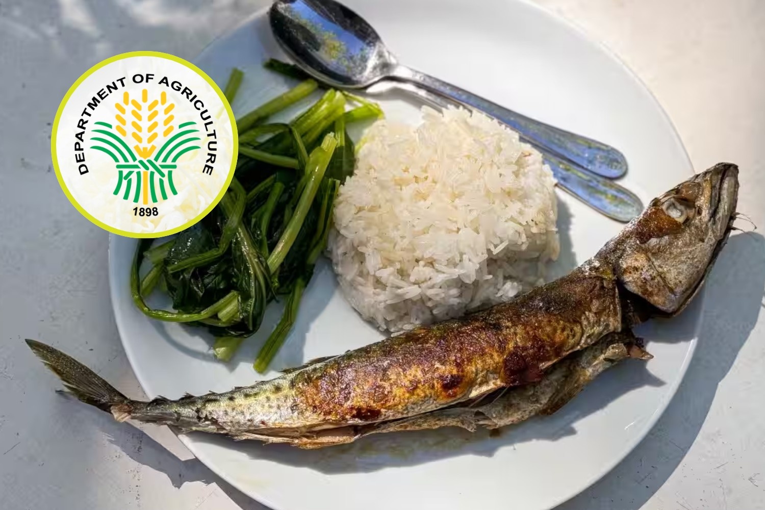 Expensive fish
