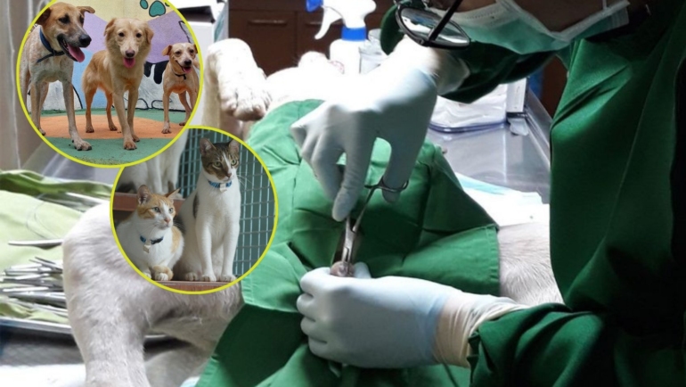 Free monthly kapon program