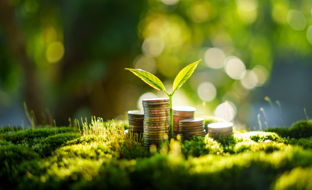 Money and growth