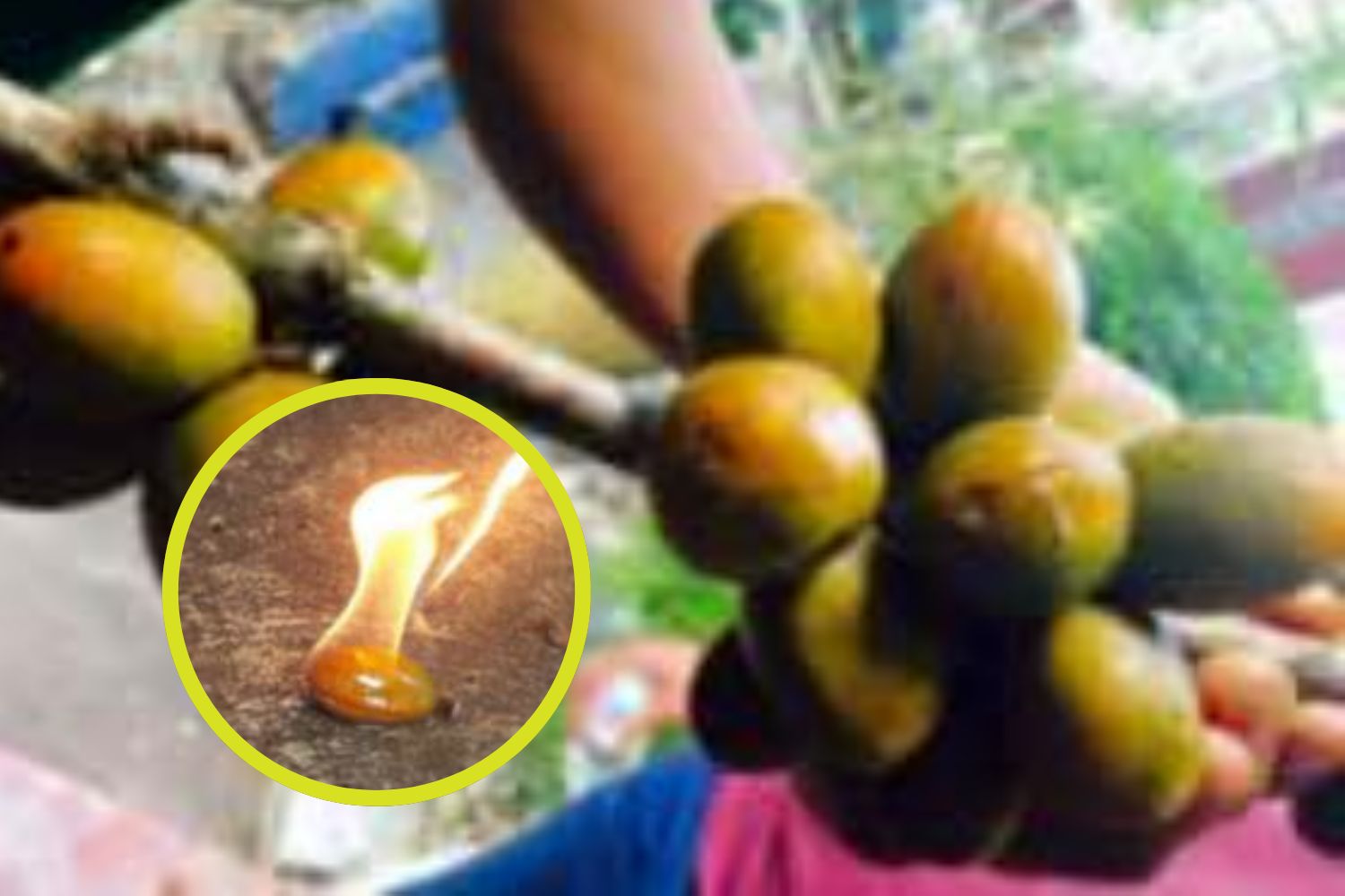Petroleum nut