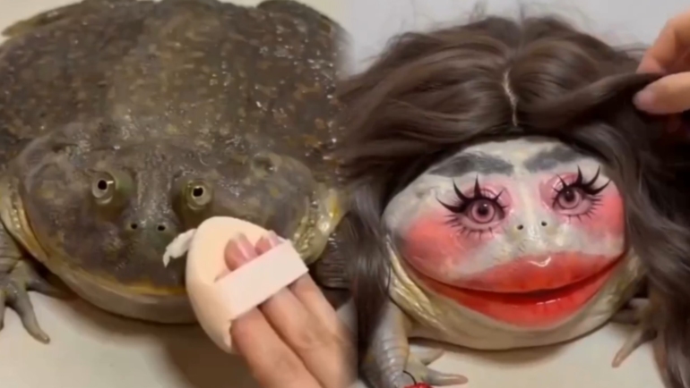 AI Frog