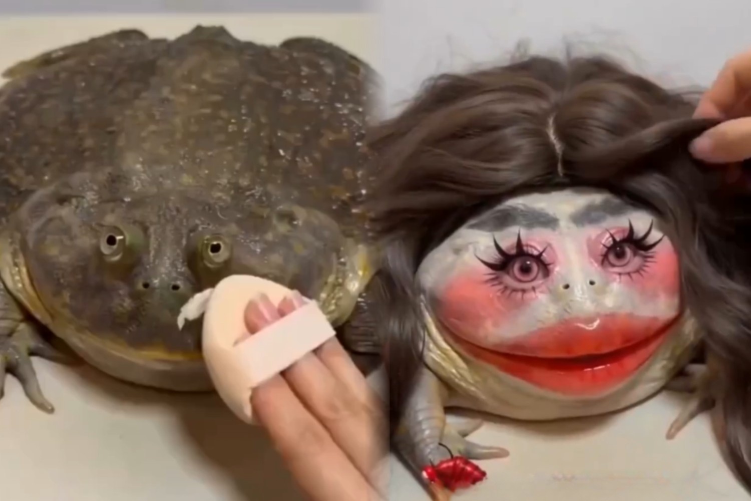 AI Frog