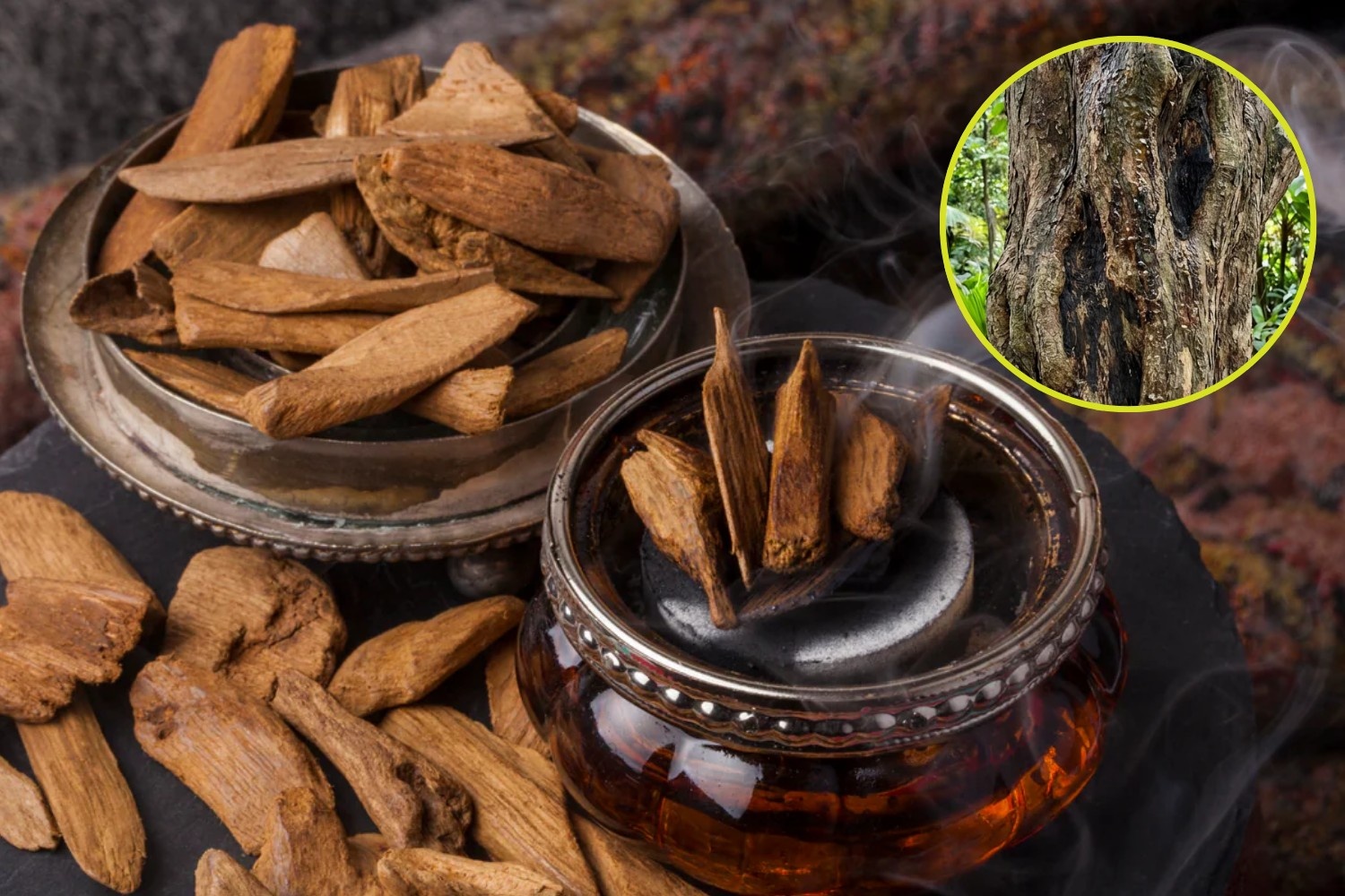 Agarwood