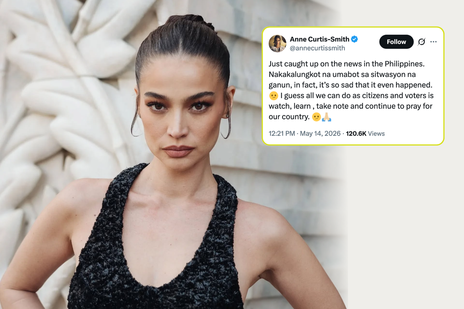 Anne Curtis-Smith raises concern