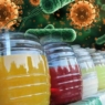 WARNING: Antibiotic-resistant bacteria could be in your ‘palamig’