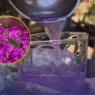 Bougainvillea tea is trending as a refreshing remedy for coughs and sore throats