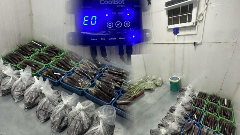 DOST CoolBot cold storage