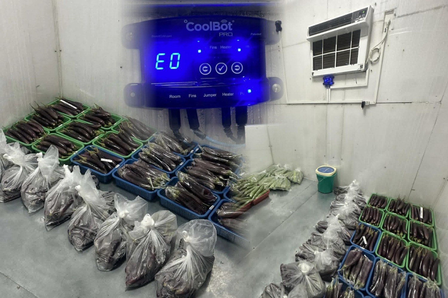 DOST CoolBot cold storage