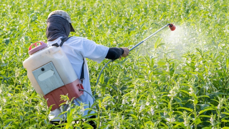 Fake fertilizers could impact crop productivity and waste public funds allocated for agricultural assistance.