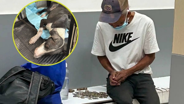 Kings Road Veterinary Hospital Cavite viral story