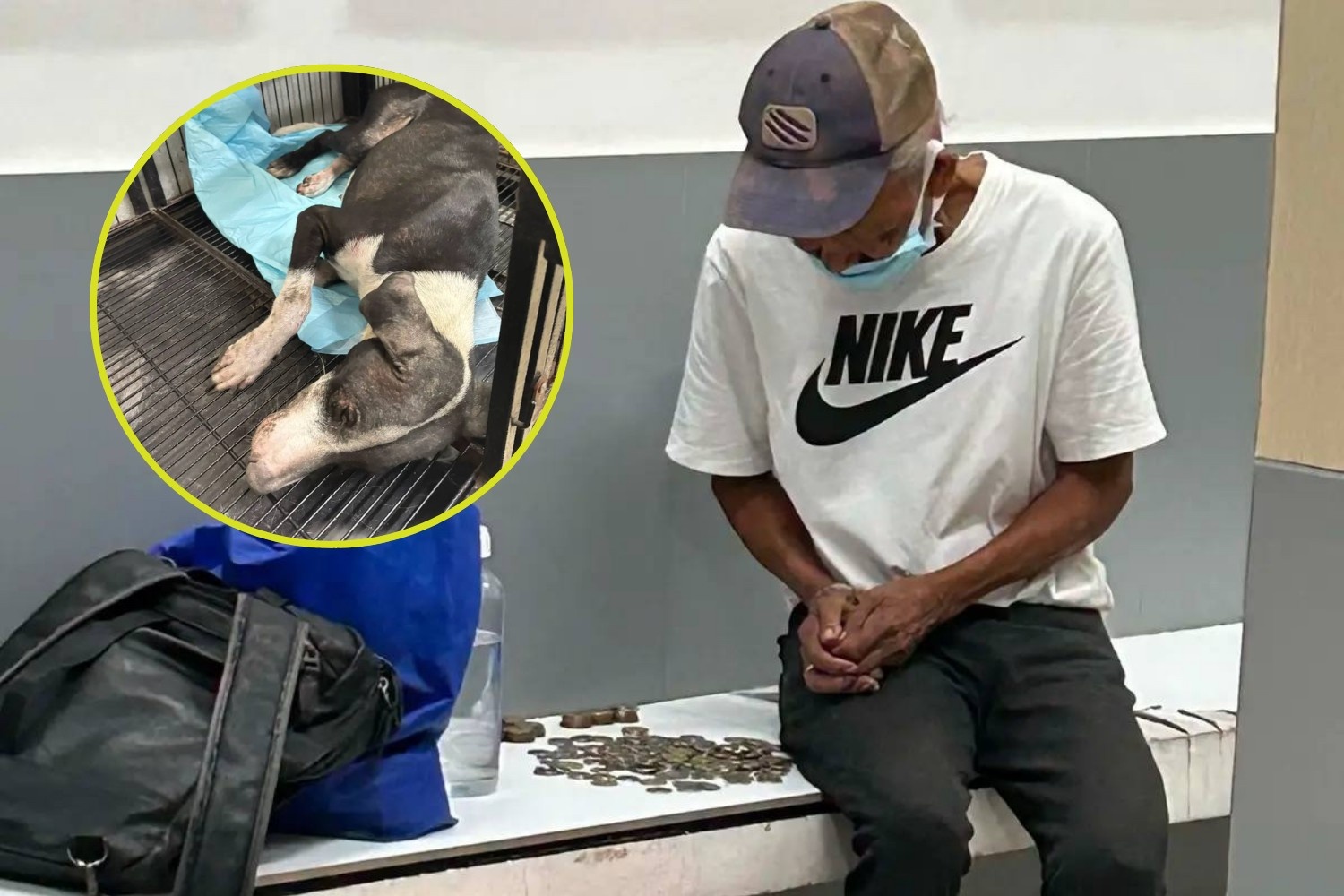 Kings Road Veterinary Hospital Cavite viral story