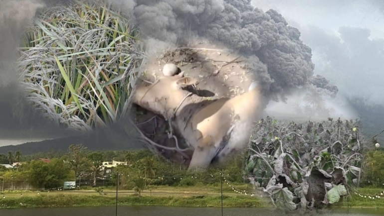 Mayon-Volcano-ashfall-damage