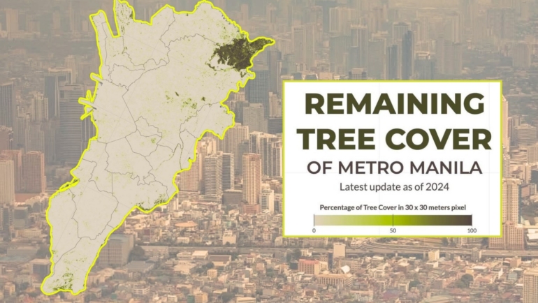 Metro Manila city without trees