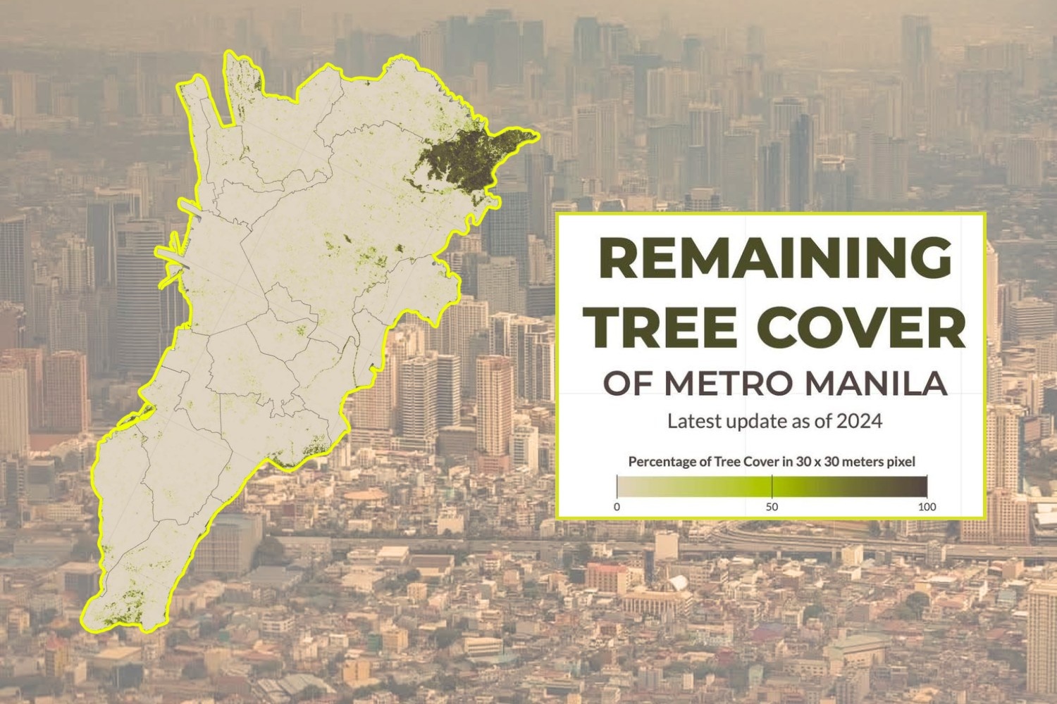 Metro Manila city without trees