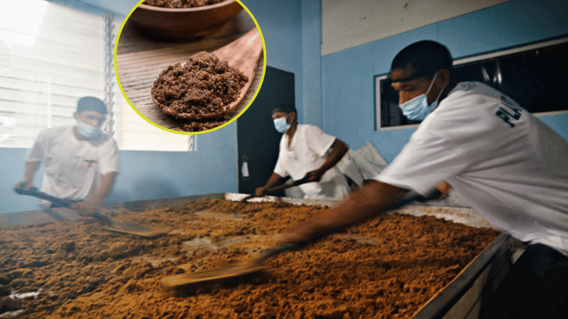 Muscovado