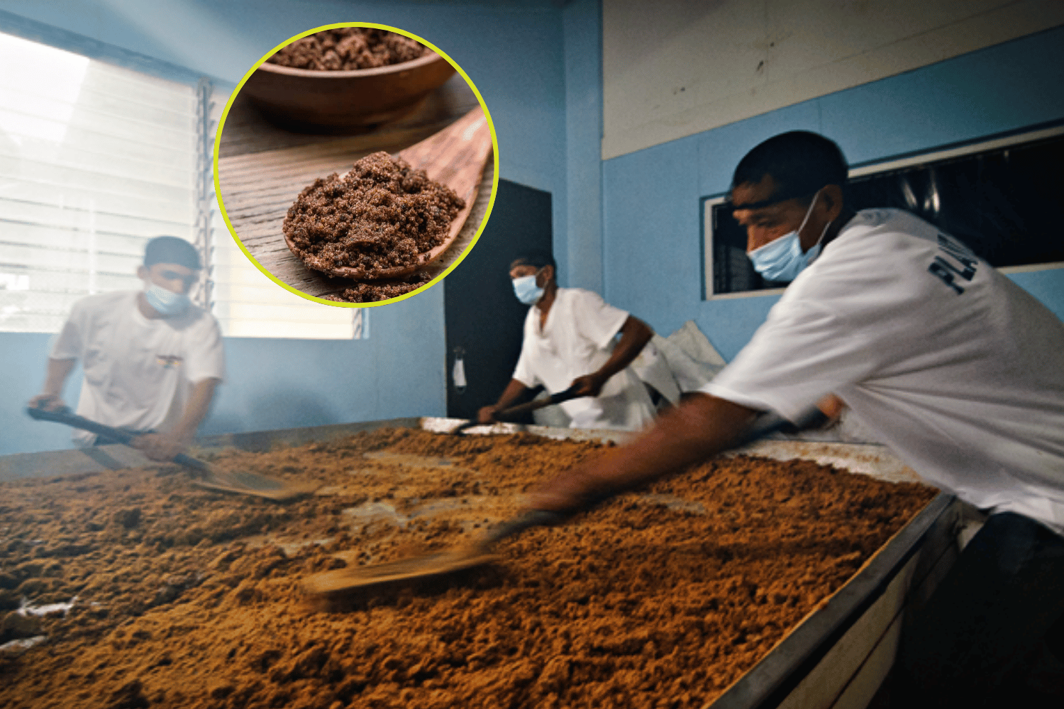 Muscovado