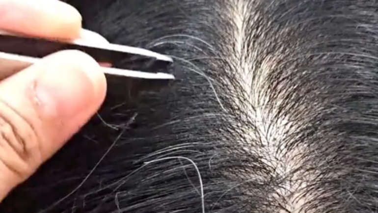 Pulling out gray hair