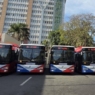 QC adds more e-buses to free ride program