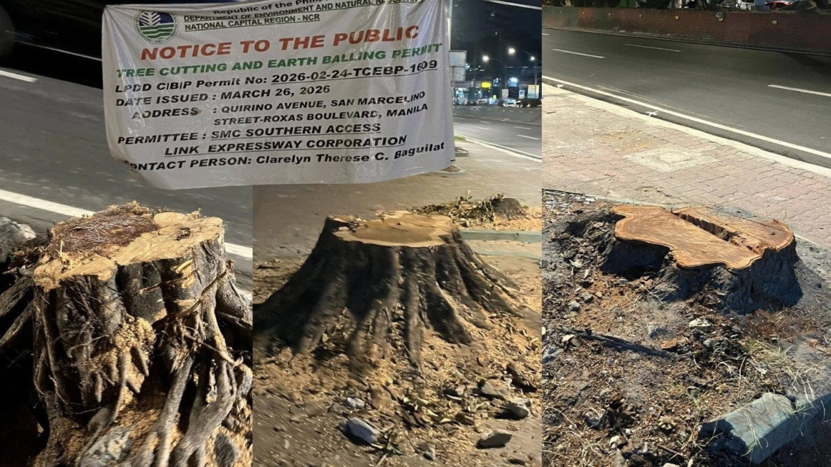 Quirino Avenue tree-cutting