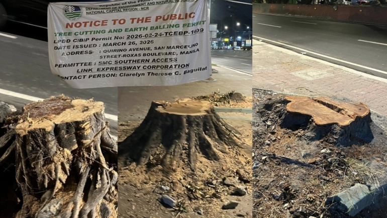 Quirino Avenue tree-cutting