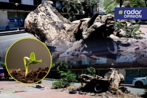 Quirino Avenue tree cutting issue