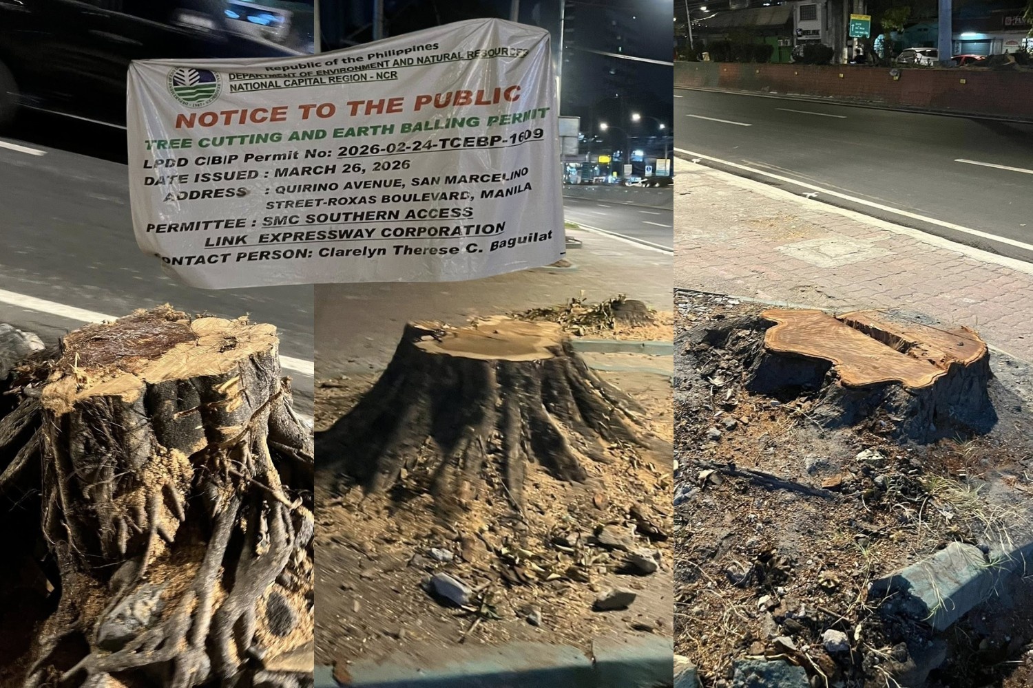 Quirino Avenue tree-cutting