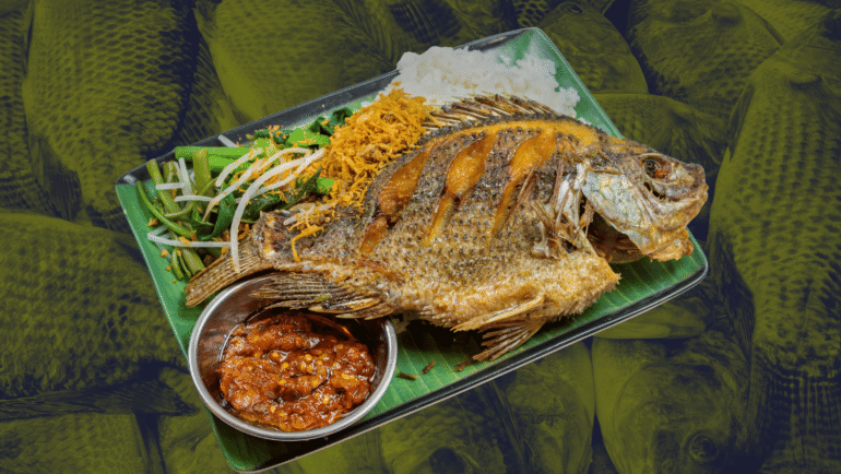 Tilapia unsafe