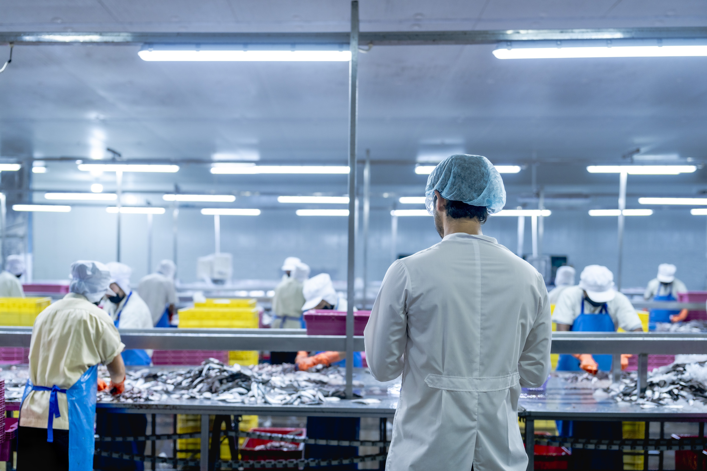 Philippine Statistics Authority merchandise trade deficit 2026
