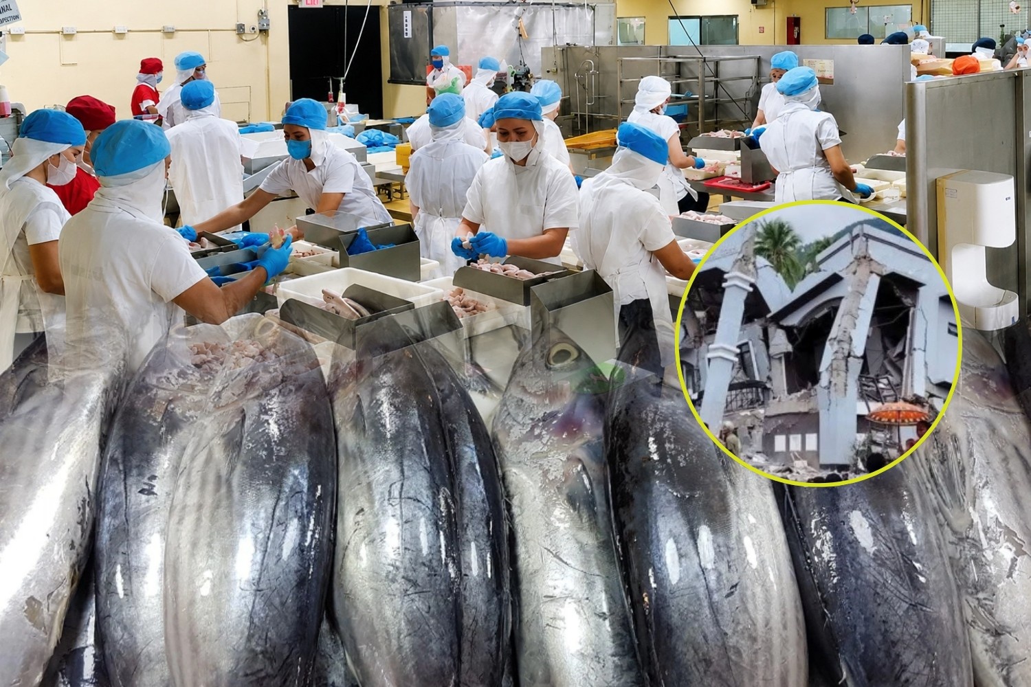 Alliance Select Foods International delayed reopening