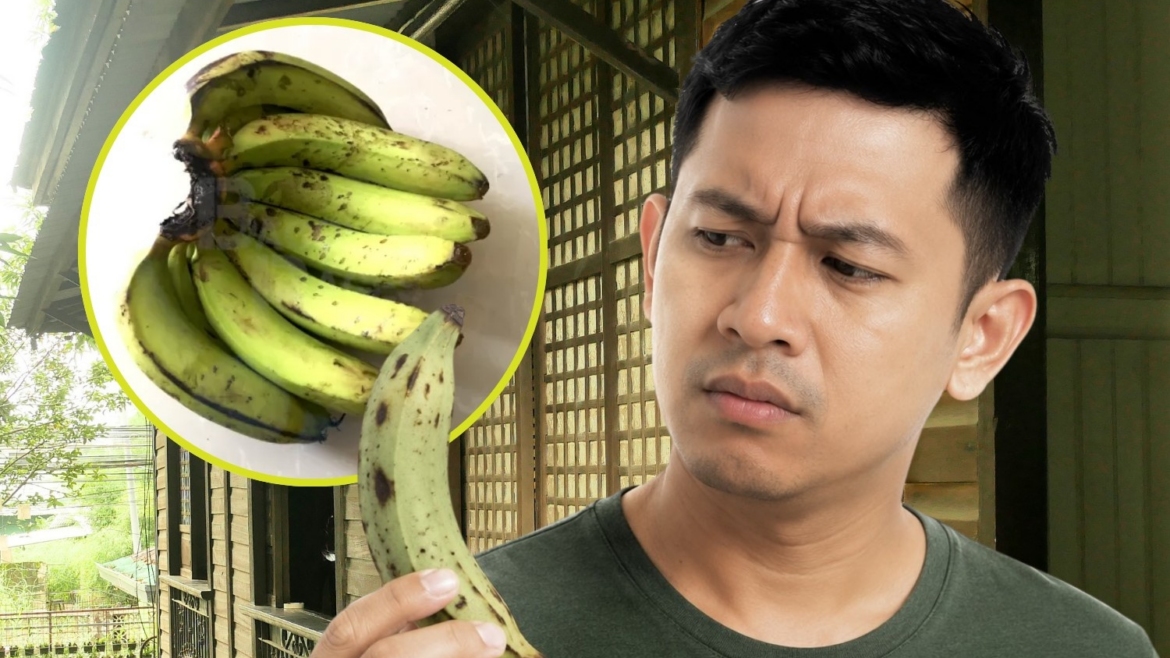 Bulungan banana