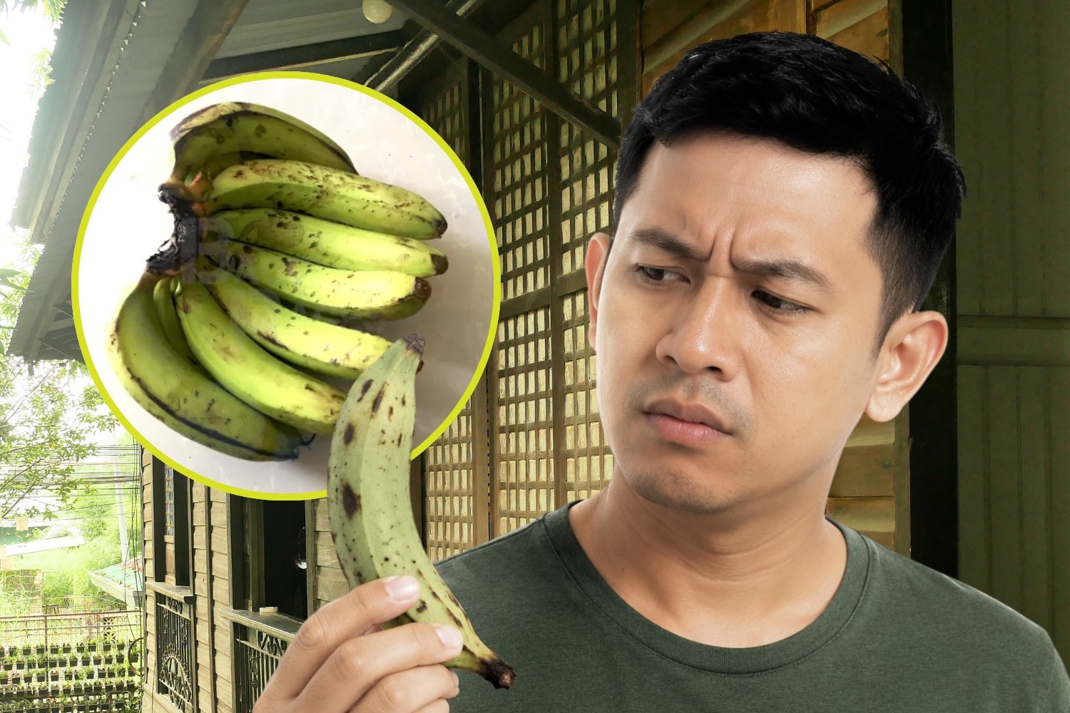 Bulungan banana