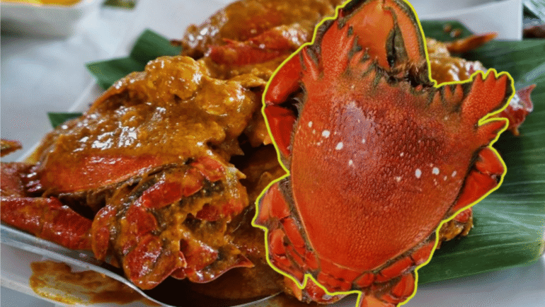 Curacha seafood