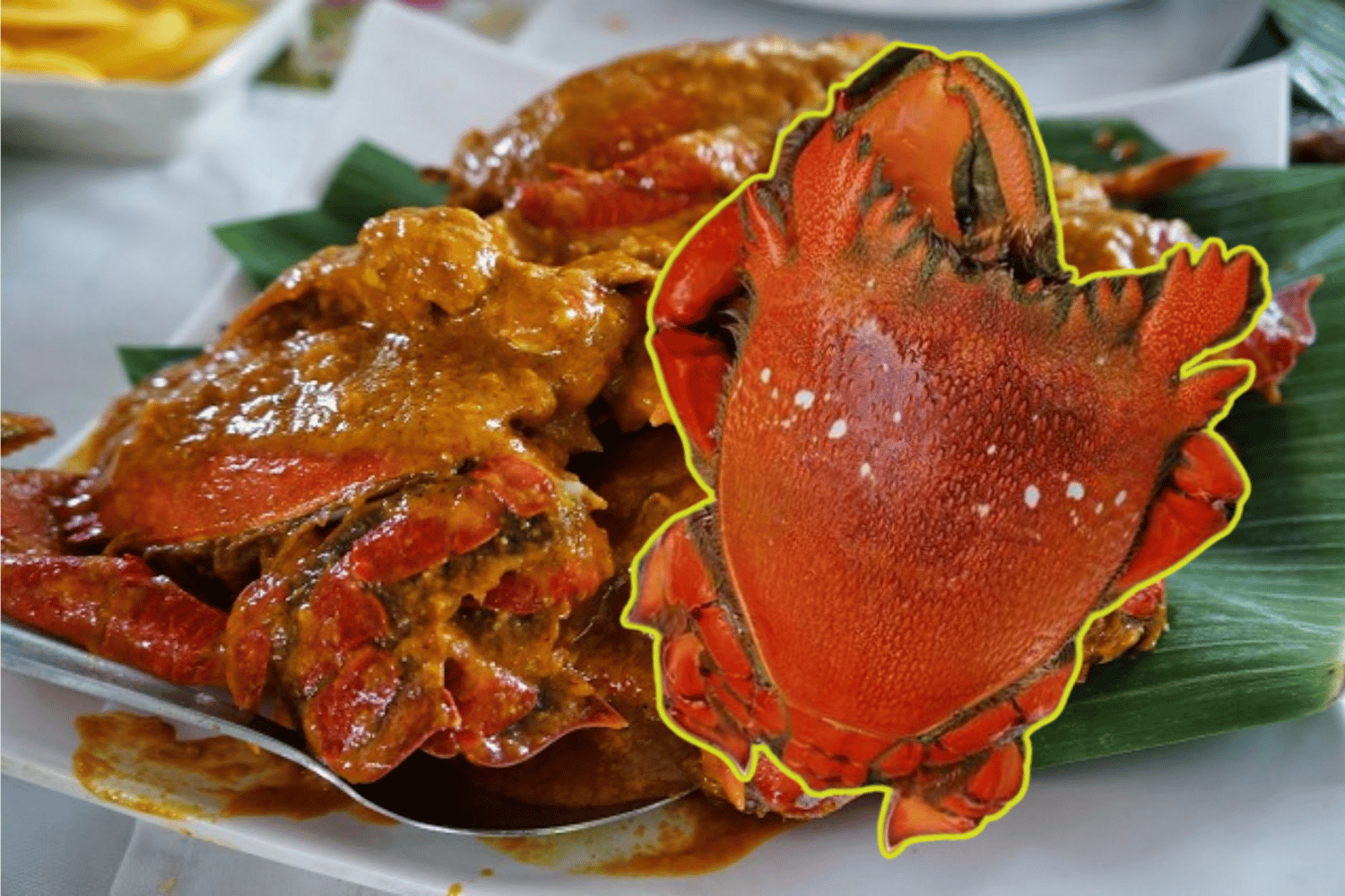 Curacha seafood