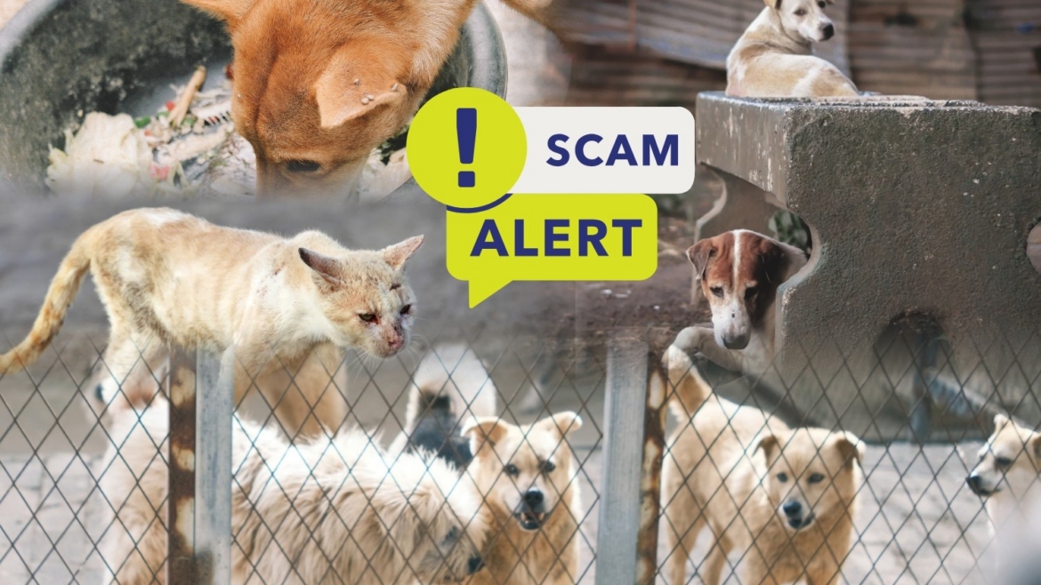 Donation scam