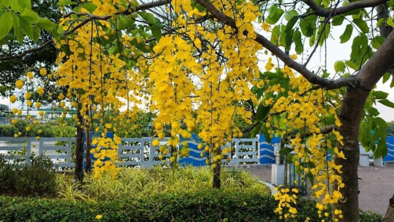 Iloilo River Esplanade