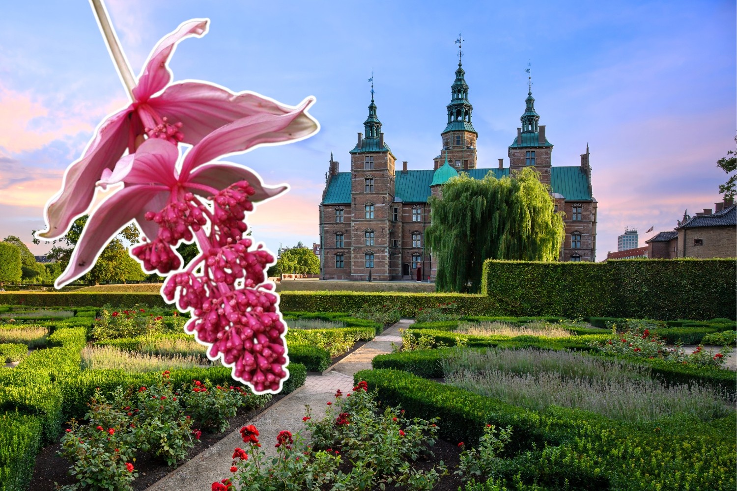 Kapa-kapa Victorian Europe history