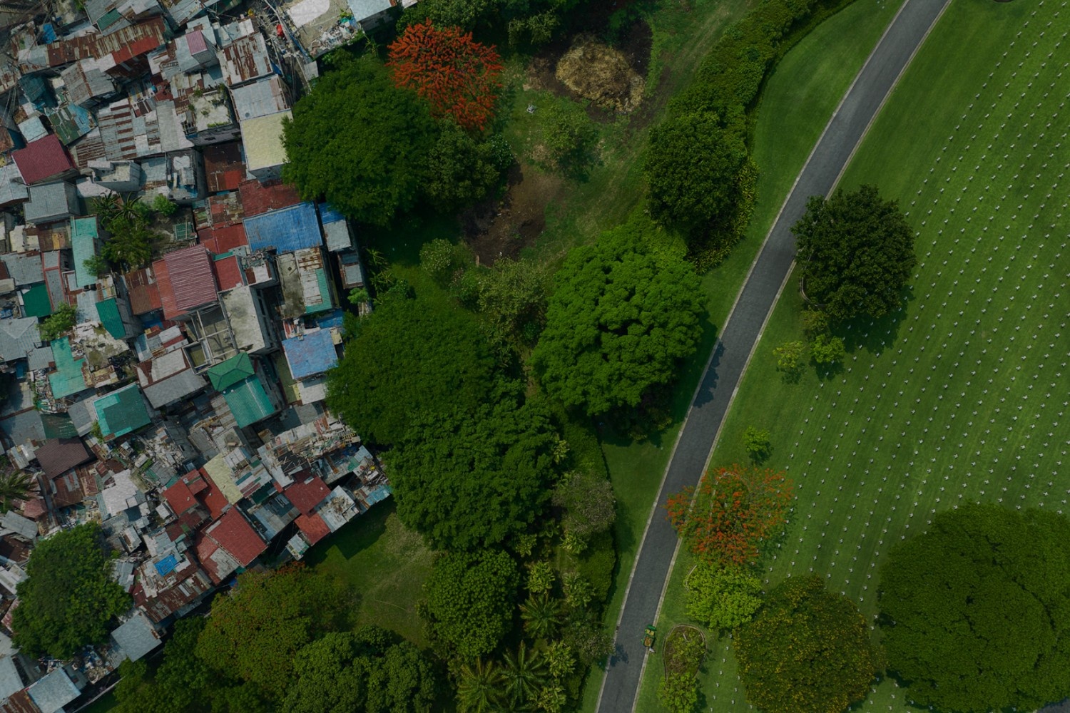 Metro Manila urban greening