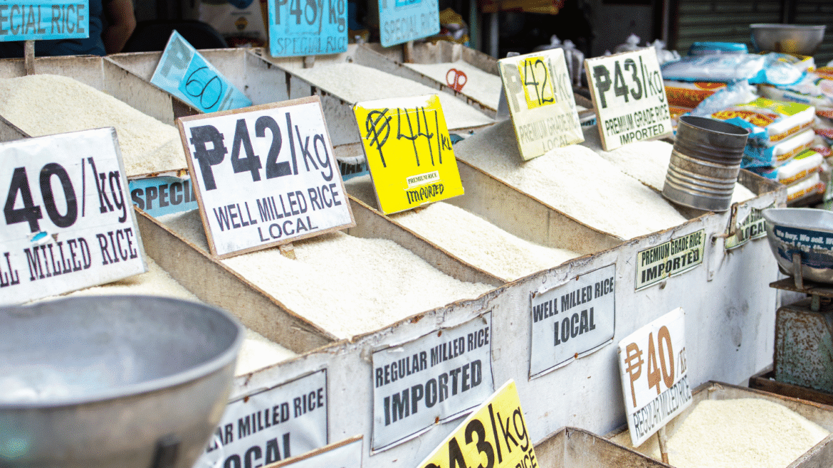 Palay buying price