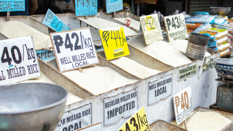 Palay buying price