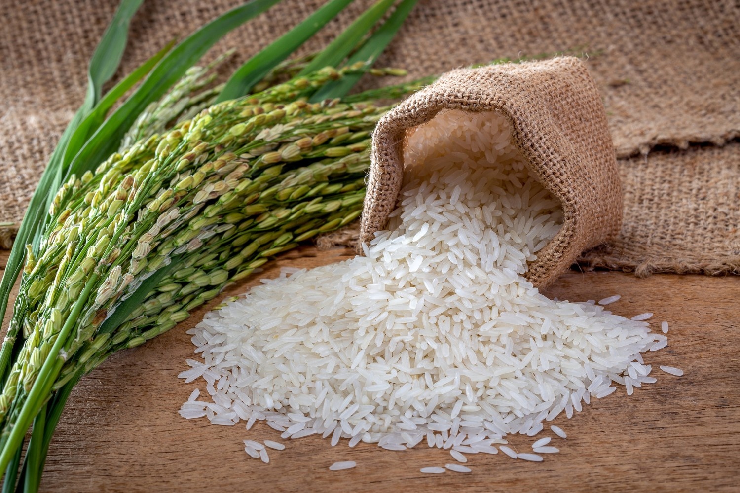 Rice price cap
