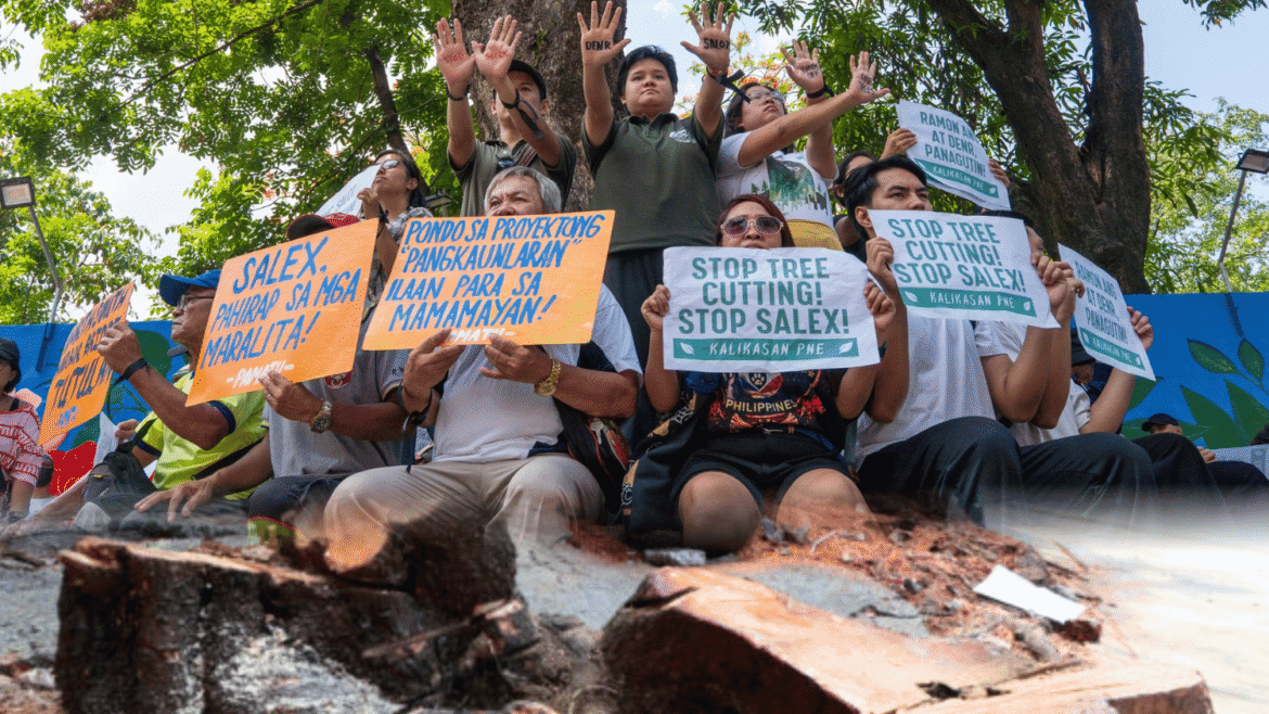 Students, environmentalists petition against SMC