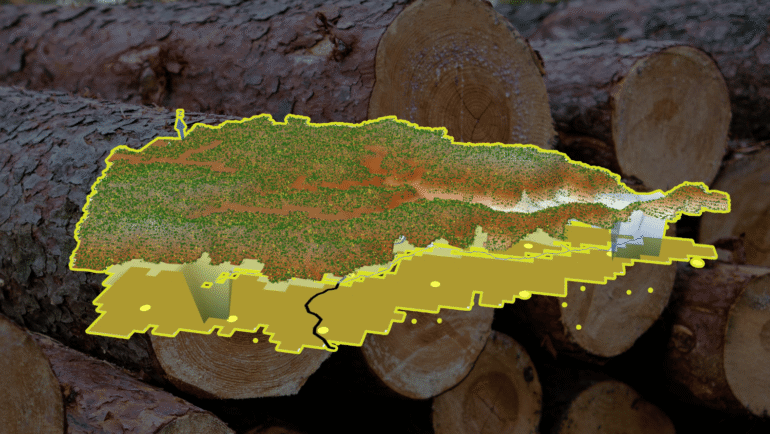 UP virtual forest