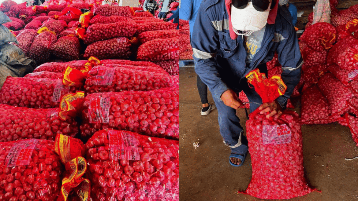 unsold garlic Batanes