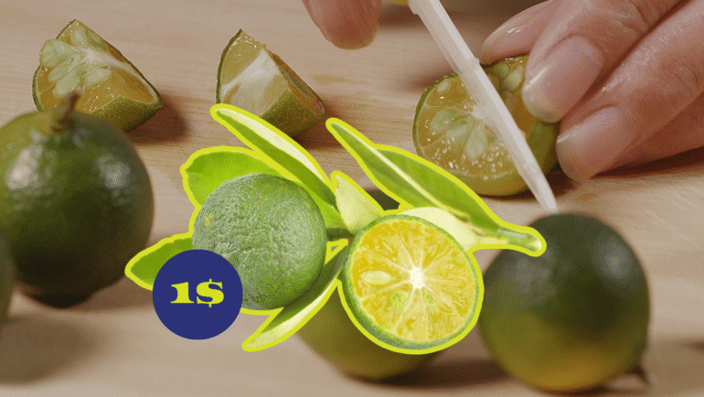 $1 calamansi