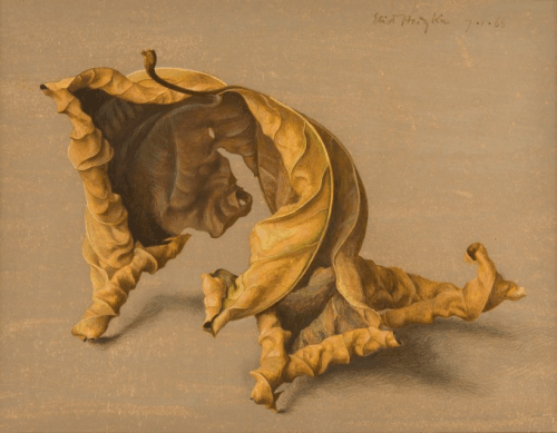 "Large Dead Leaf No. 2" by Eliot Hodgkin, 1966, tempera, 19 by 25 cm. Photo from Eliot Hodgkin website